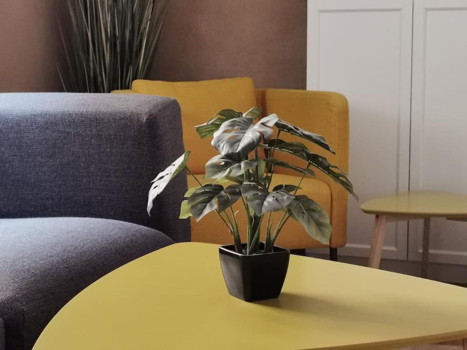 Ferienwohnung Im Bruehl Erfurt Exterior foto